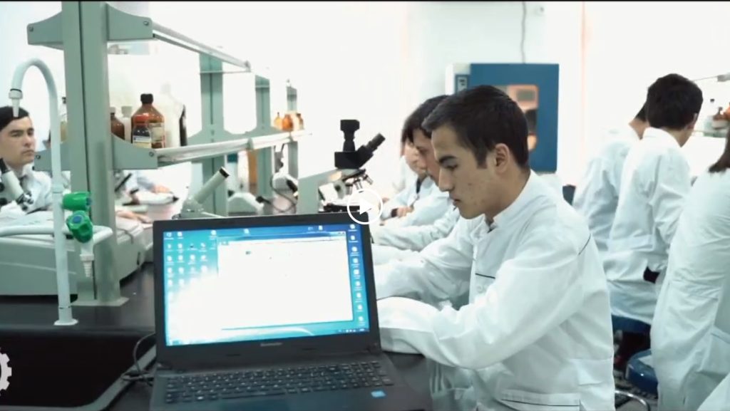 Officiis quis est ve