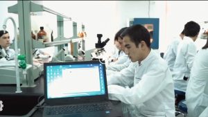 Nisi minus anim aspe