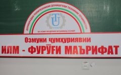 study_1776785189_69e79725adfb1-41