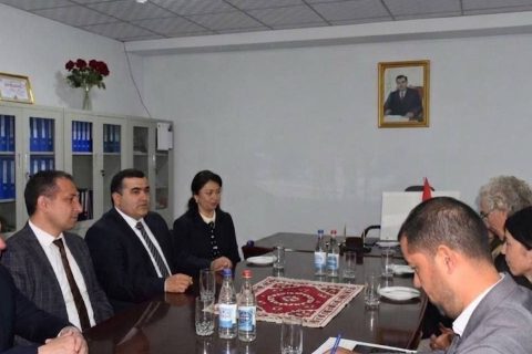 study_1776878366_69e9031ed6798-19