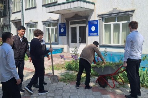 study_1777348068_69f02de4b479d-181