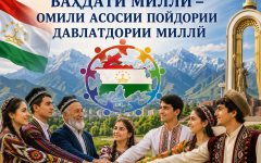 study_1782559842_6a3fb46234355-88