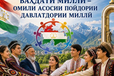 study_1782559842_6a3fb46234355-88