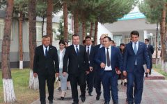 study_1790884470_6abeba76d4f95-276